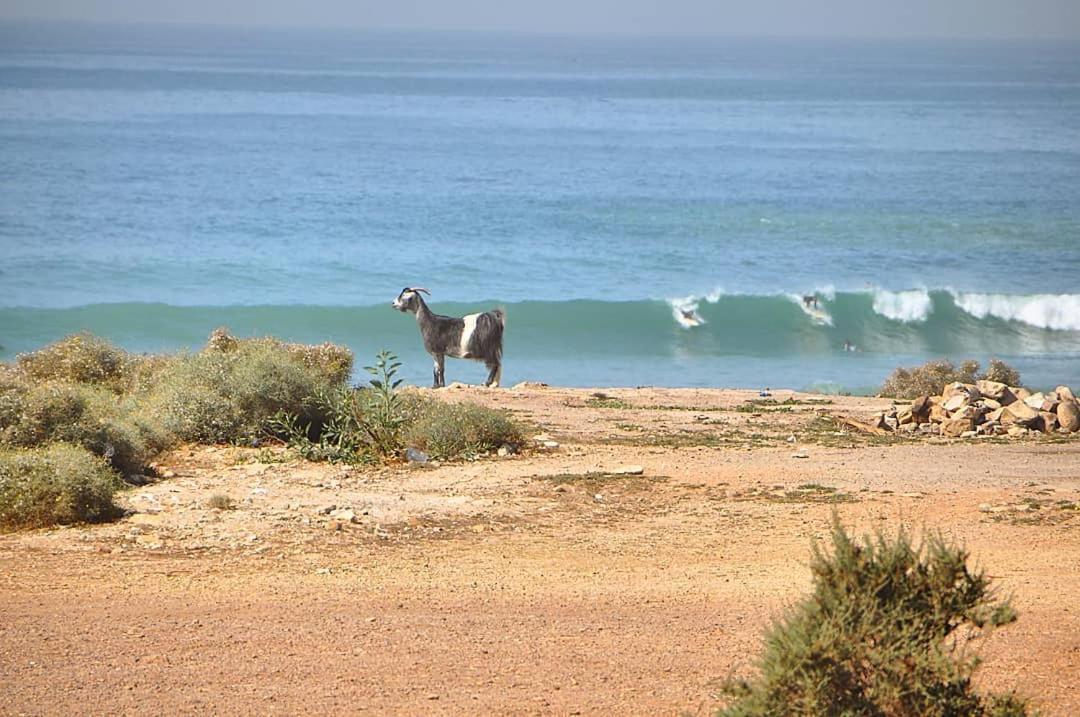 ホテル Manzili Surfhouse Tamraght エクステリア 写真